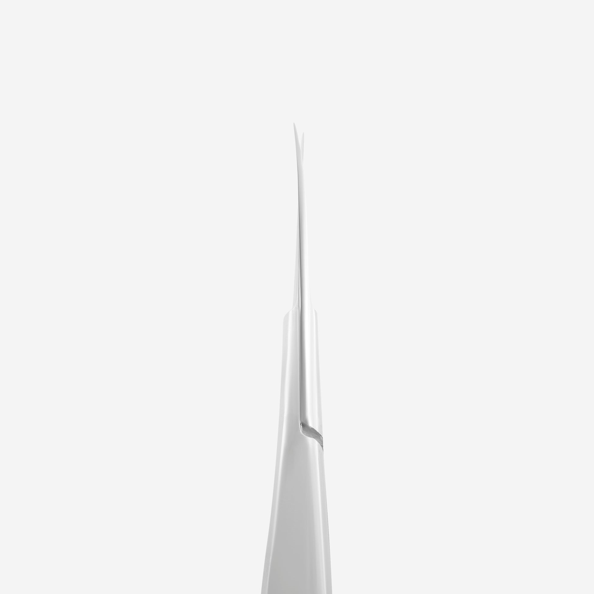 Straight 15 mm blades of STALEKS PRO EXPERT 90 TYPE 2 eyebrow scissors